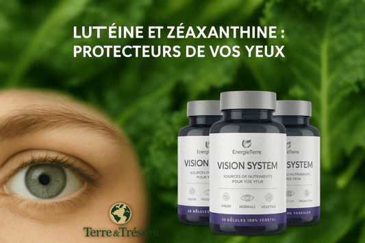 Lutéine et Zéaxanthine : Protecteurs de vos Yeux - Terre et Trésors