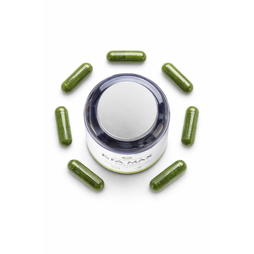 AFA MAX - Algue Klamath Pure - Complément Alimentaire Naturel - Terre et Trésors