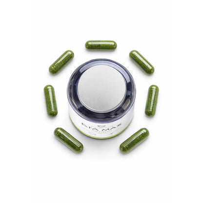 AFA MAX - Algue Klamath Pure - Complément Alimentaire Naturel - Terre et Trésors