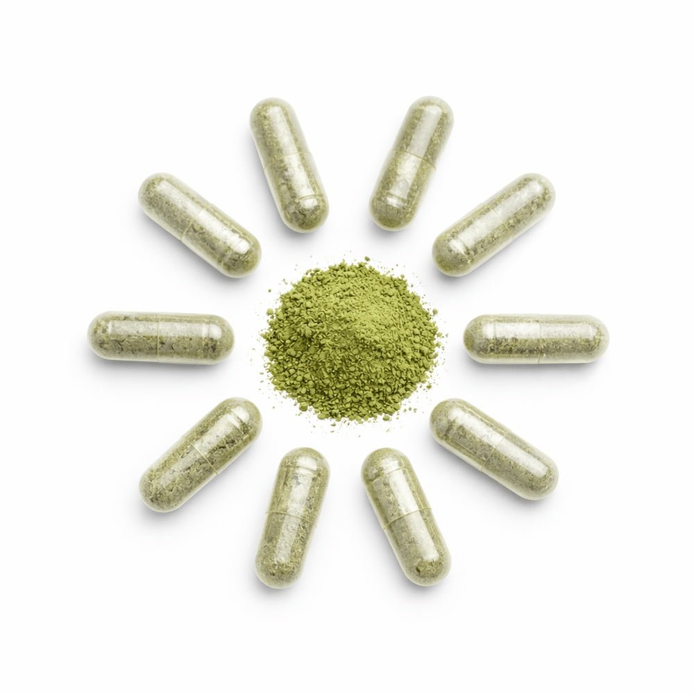 AFA MAX - Algue Klamath Pure - Complément Alimentaire Naturel - Terre et Trésors