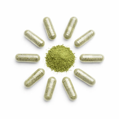 AFA MAX - Algue Klamath Pure - Complément Alimentaire Naturel - Terre et Trésors