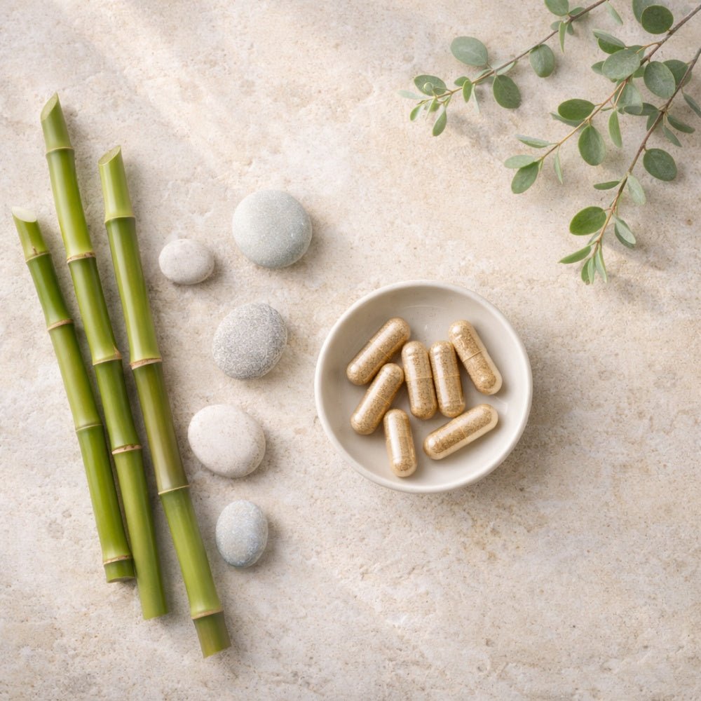 CartiColl - Formule Articulaire 6 Actifs - Terre et Trésors