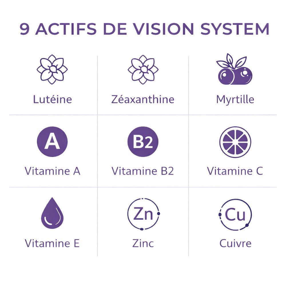 Vision System - Livraison Gratuite - Terre et Trésors - Terre et Trésors