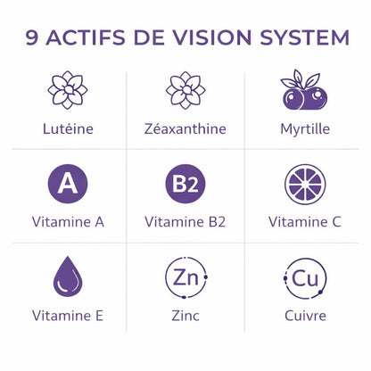 Vision System - Livraison Gratuite - Terre et Trésors - Terre et Trésors